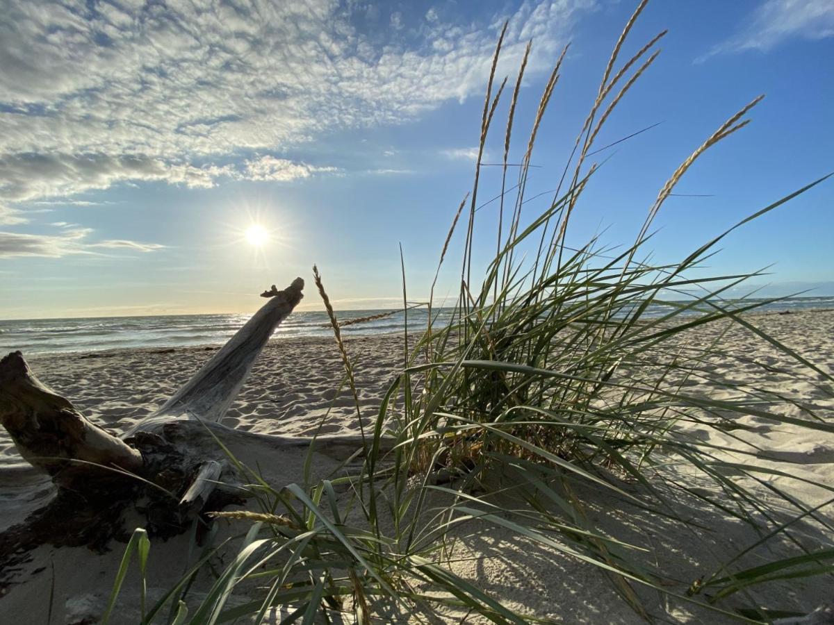 Fewo Unweit Warnemuende Sobierajczyk In Markgrafenheide ロストック エクステリア 写真